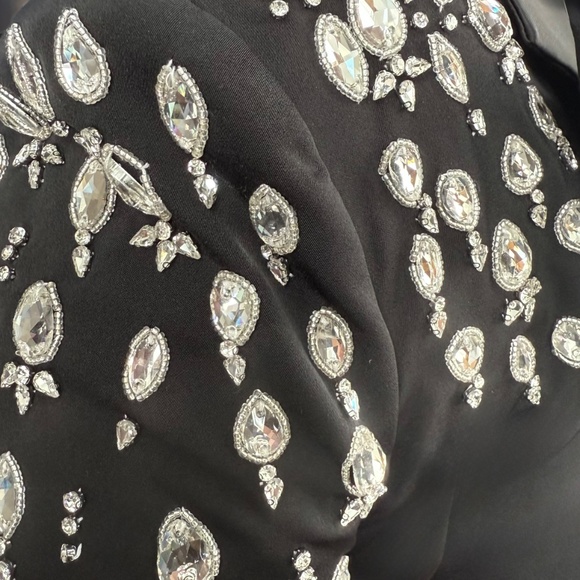 Pegasi Black Double Breasted Blazer with Embellishment - Picture 8 of 11